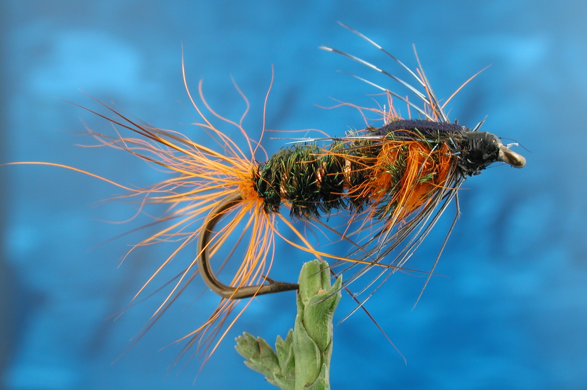 Orange Gorbenmac