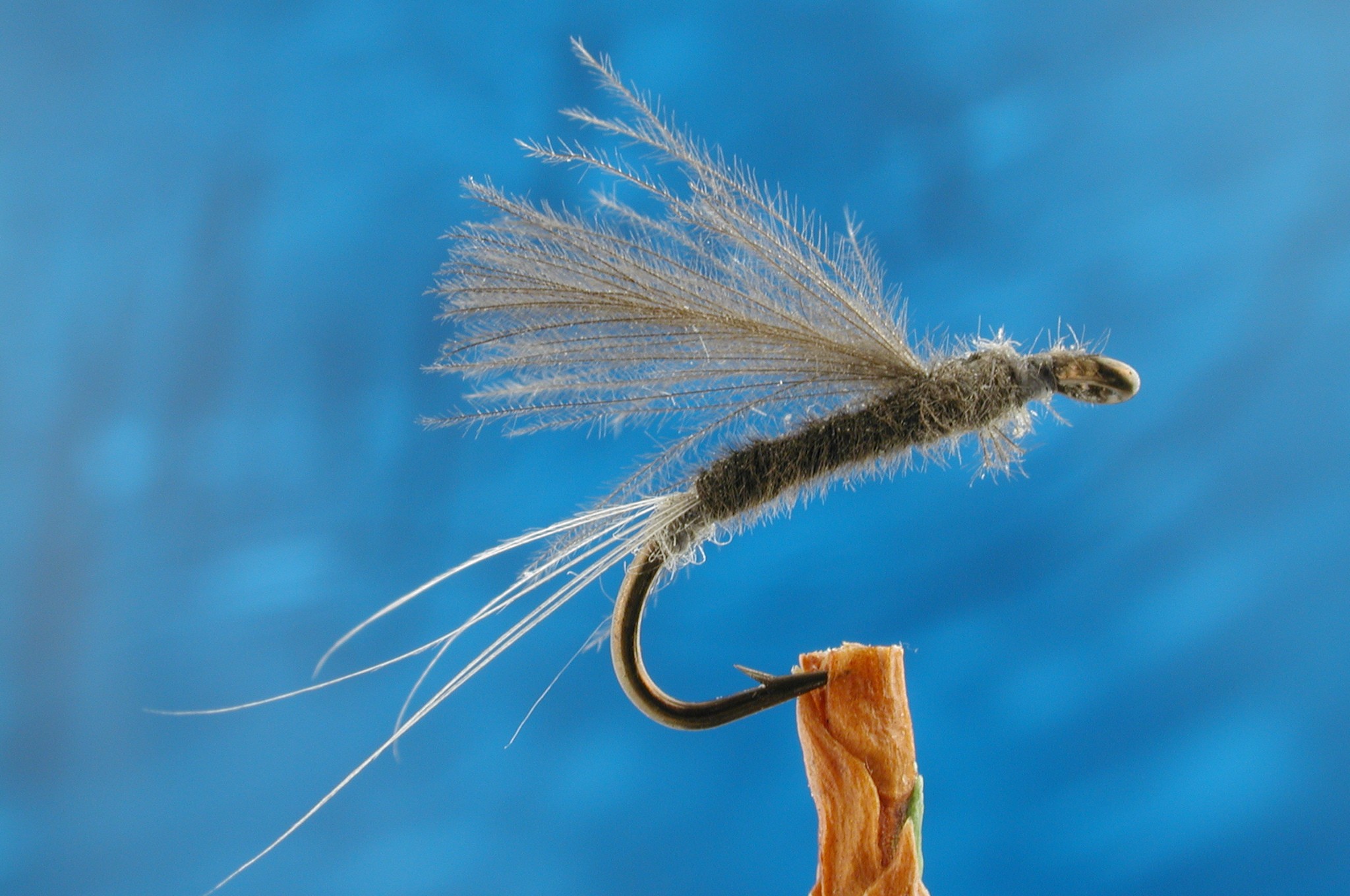 No Hackle CDC Dun