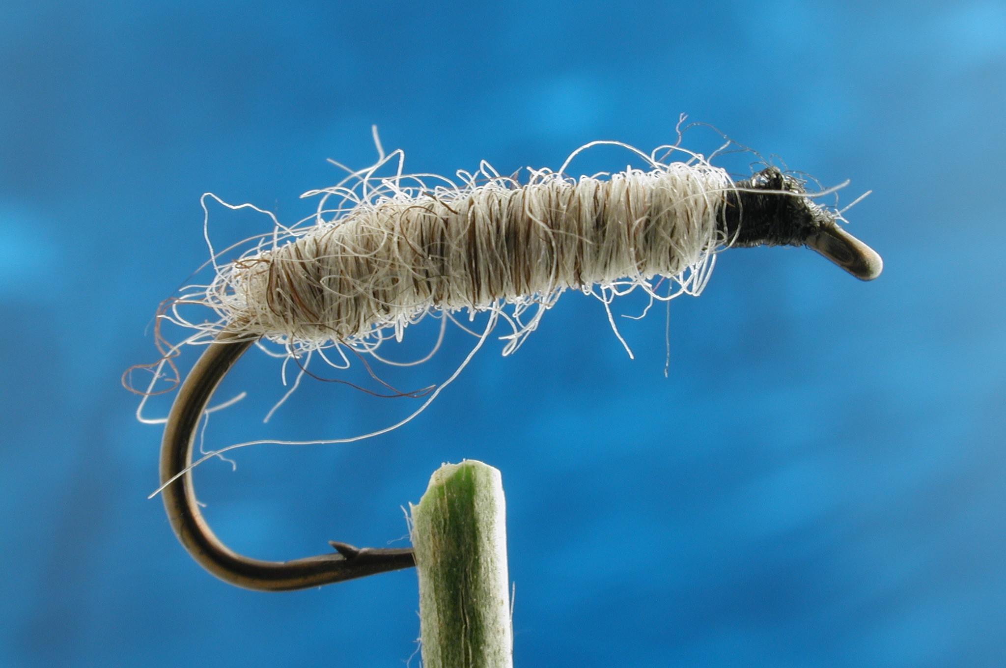 Sandy Cased Caddis