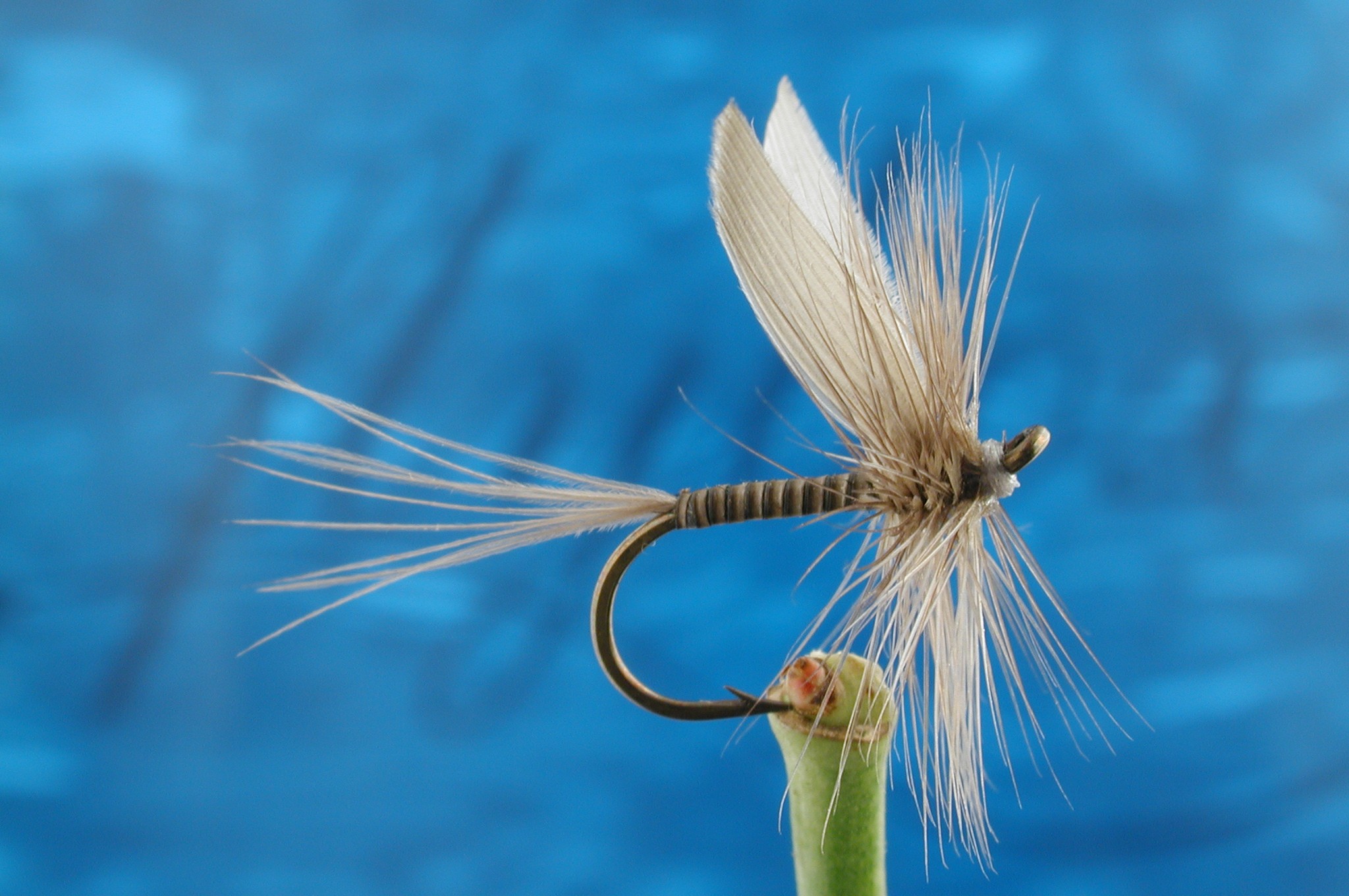 Blue Quill