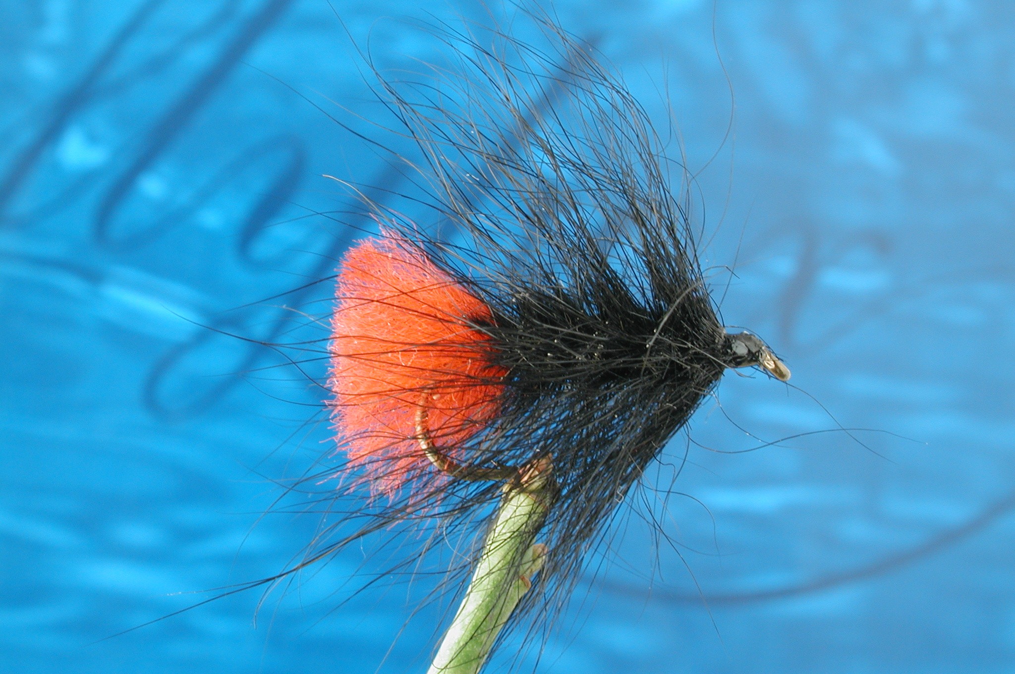 Hairy Zulu