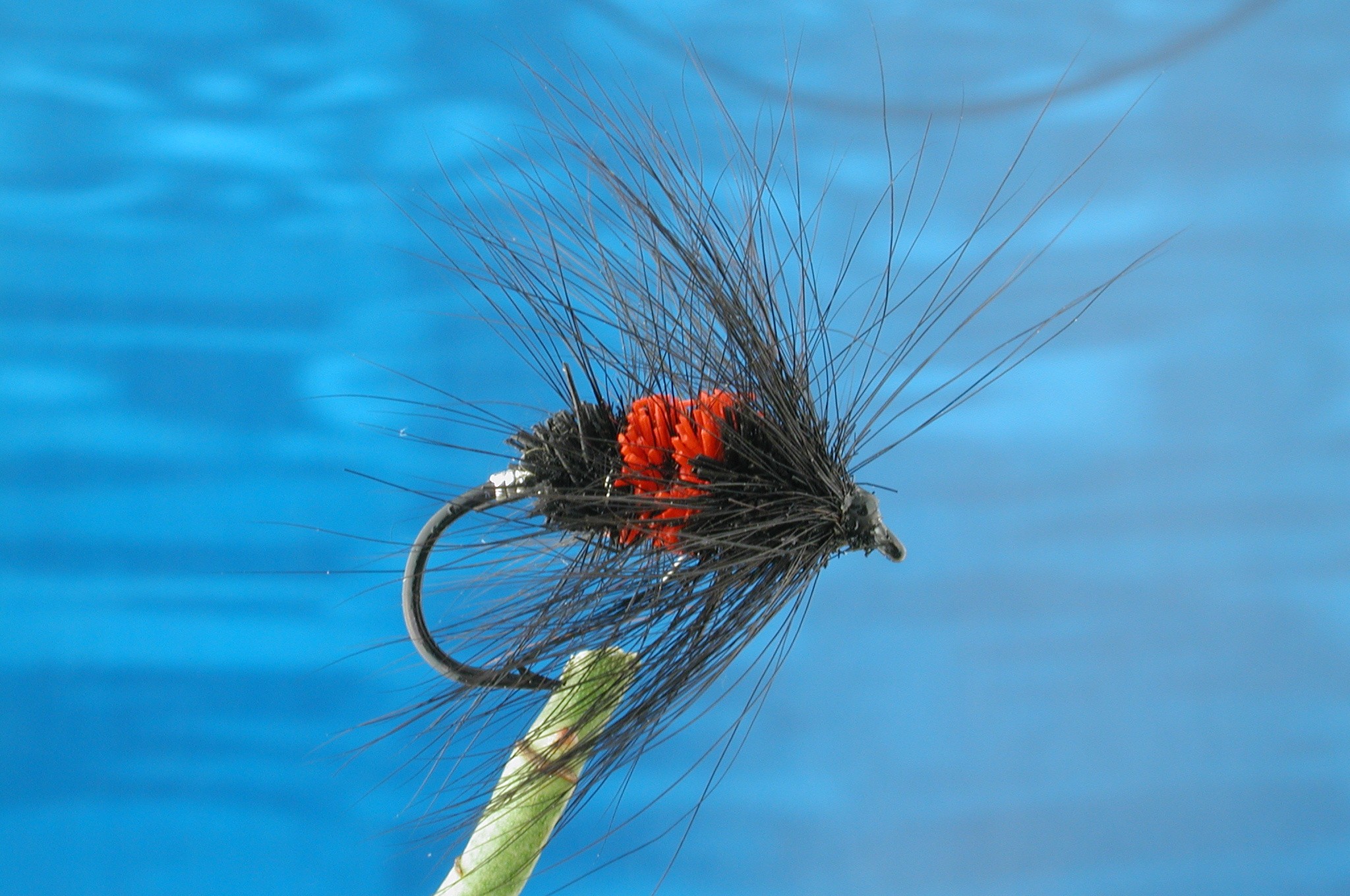 Hairy Bibio Bomber