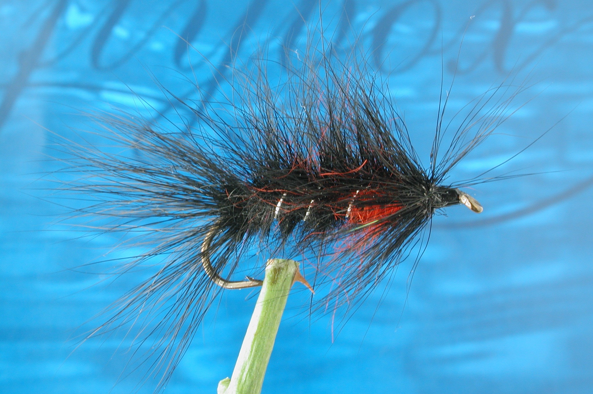 Hairy Black Matuka