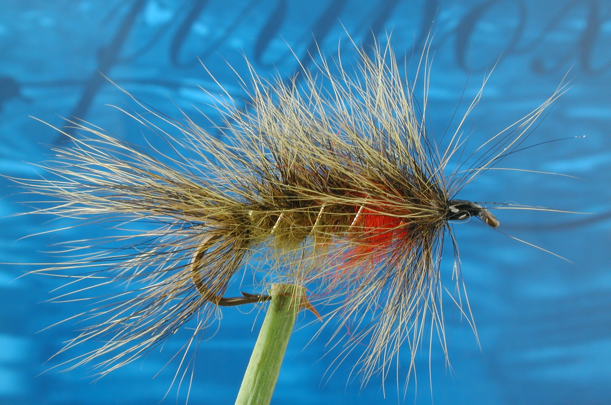 Hairy Olive Matuka