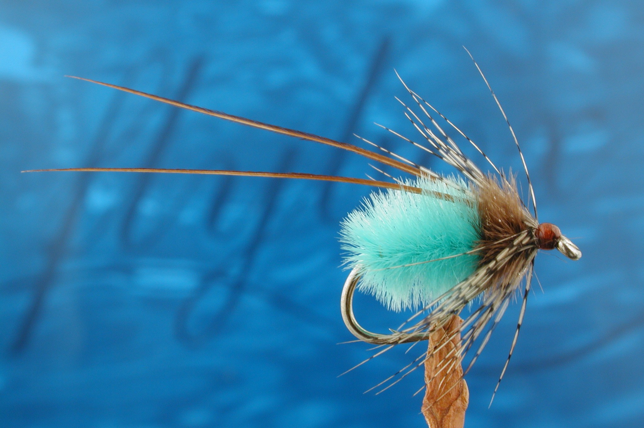 Blue Longhorn