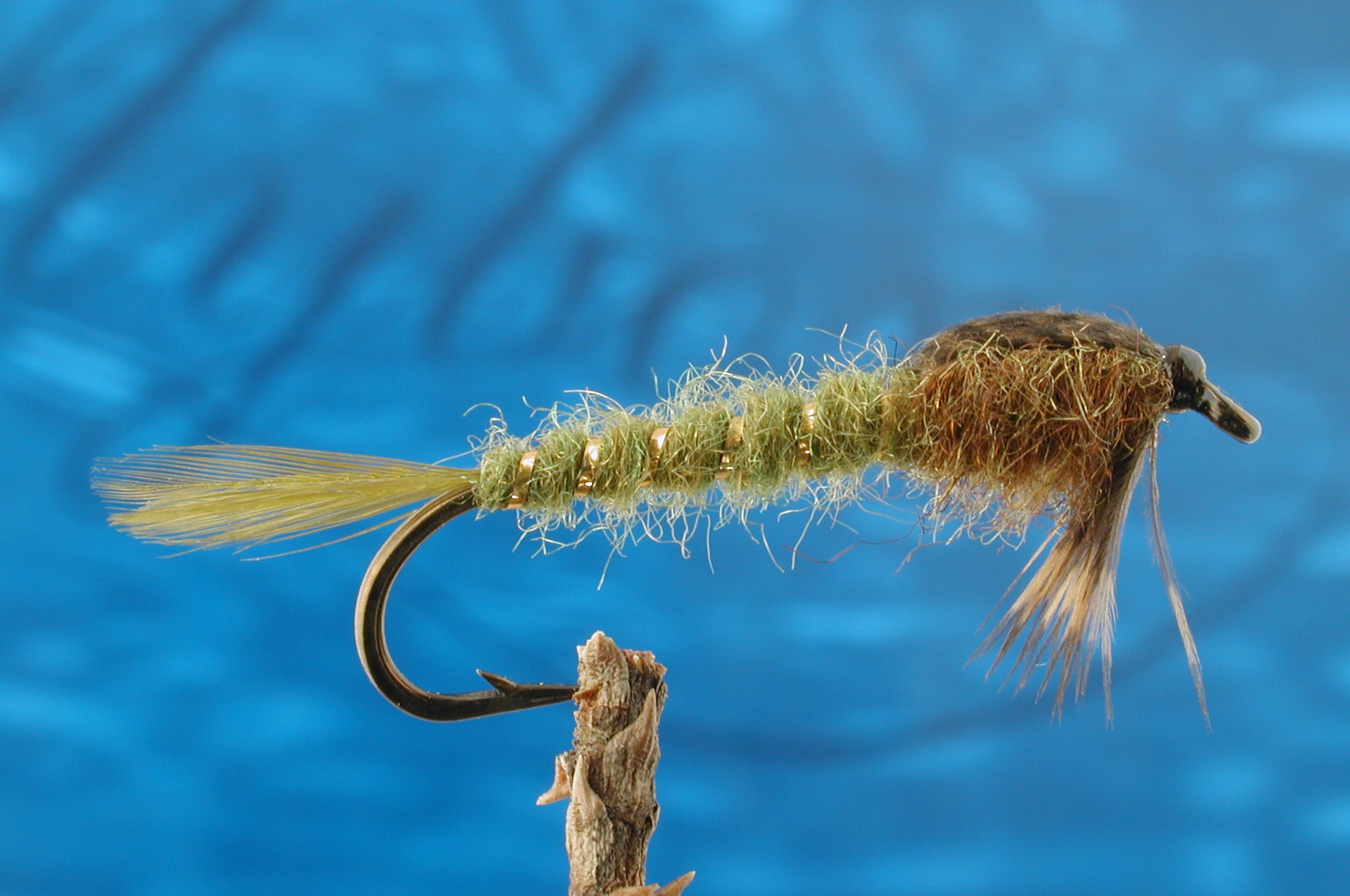 Damsel Nymph 3
