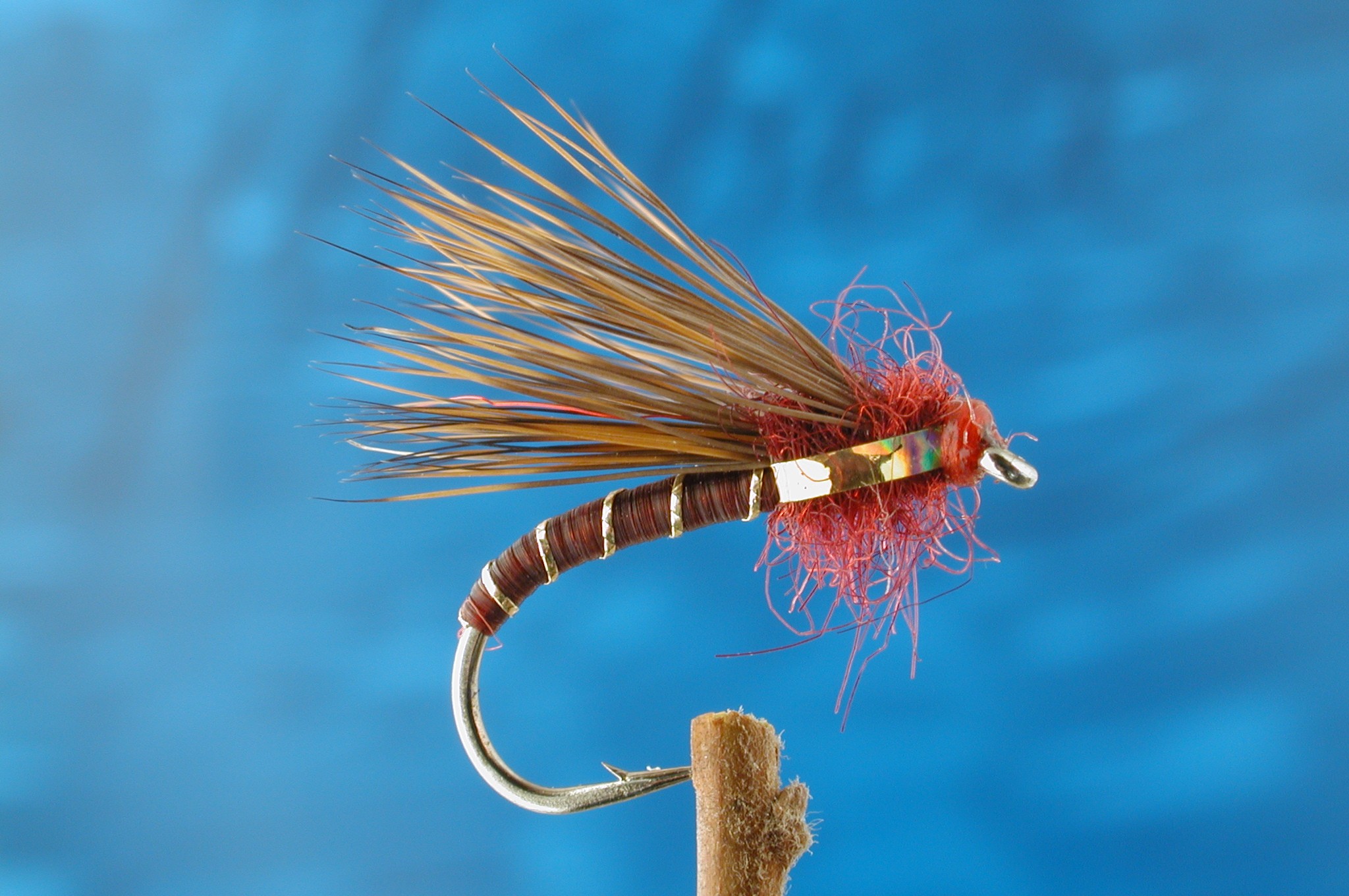 Claret Half Hog