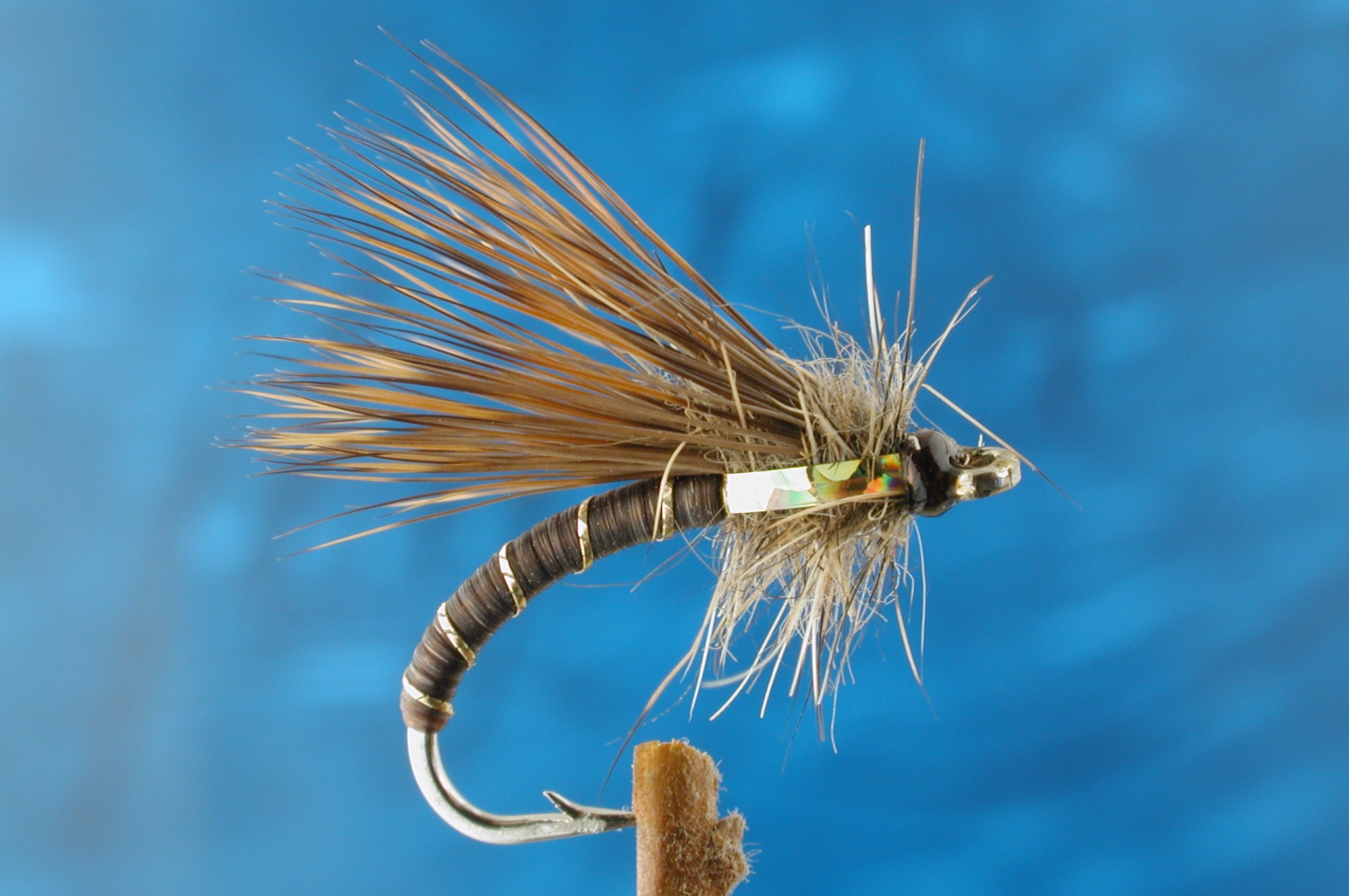 Hares Ear Half Hog