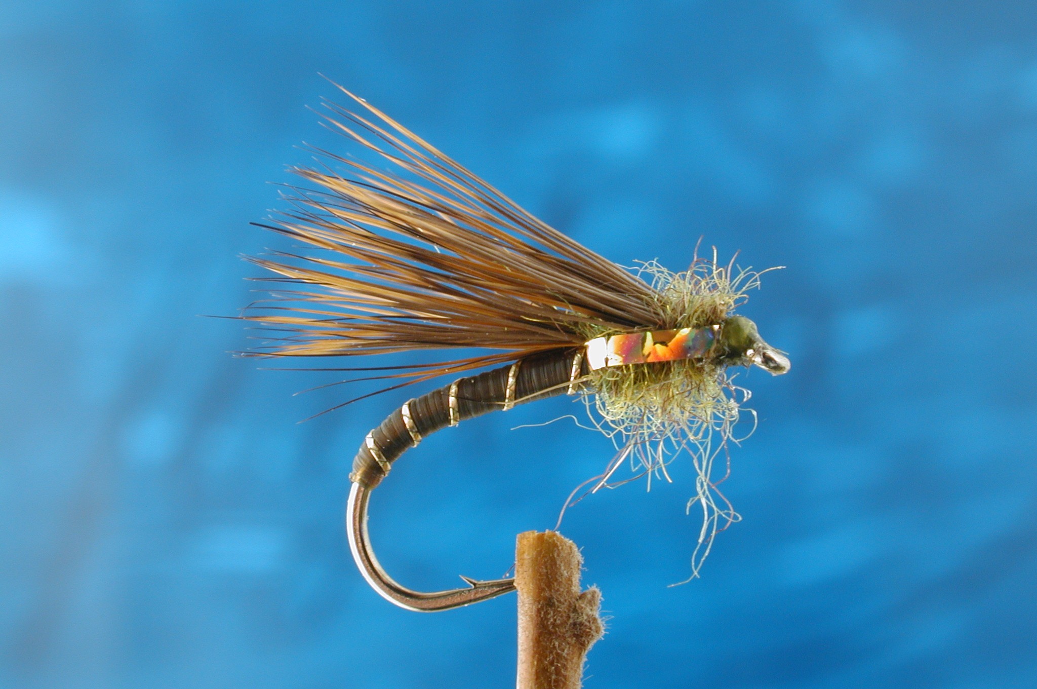 Olive Half Hog