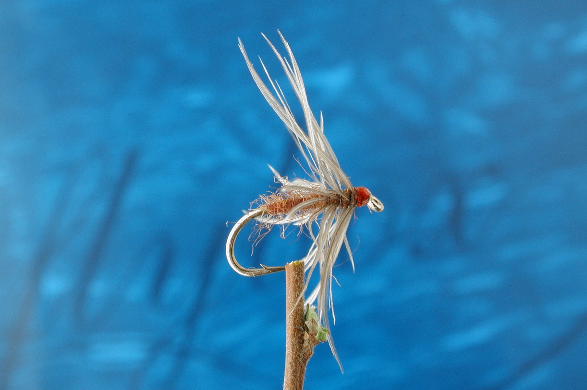 Early Brown
