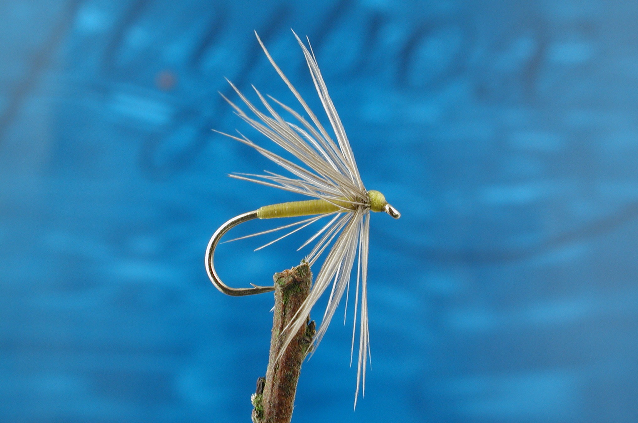 Waterhen and Yellow