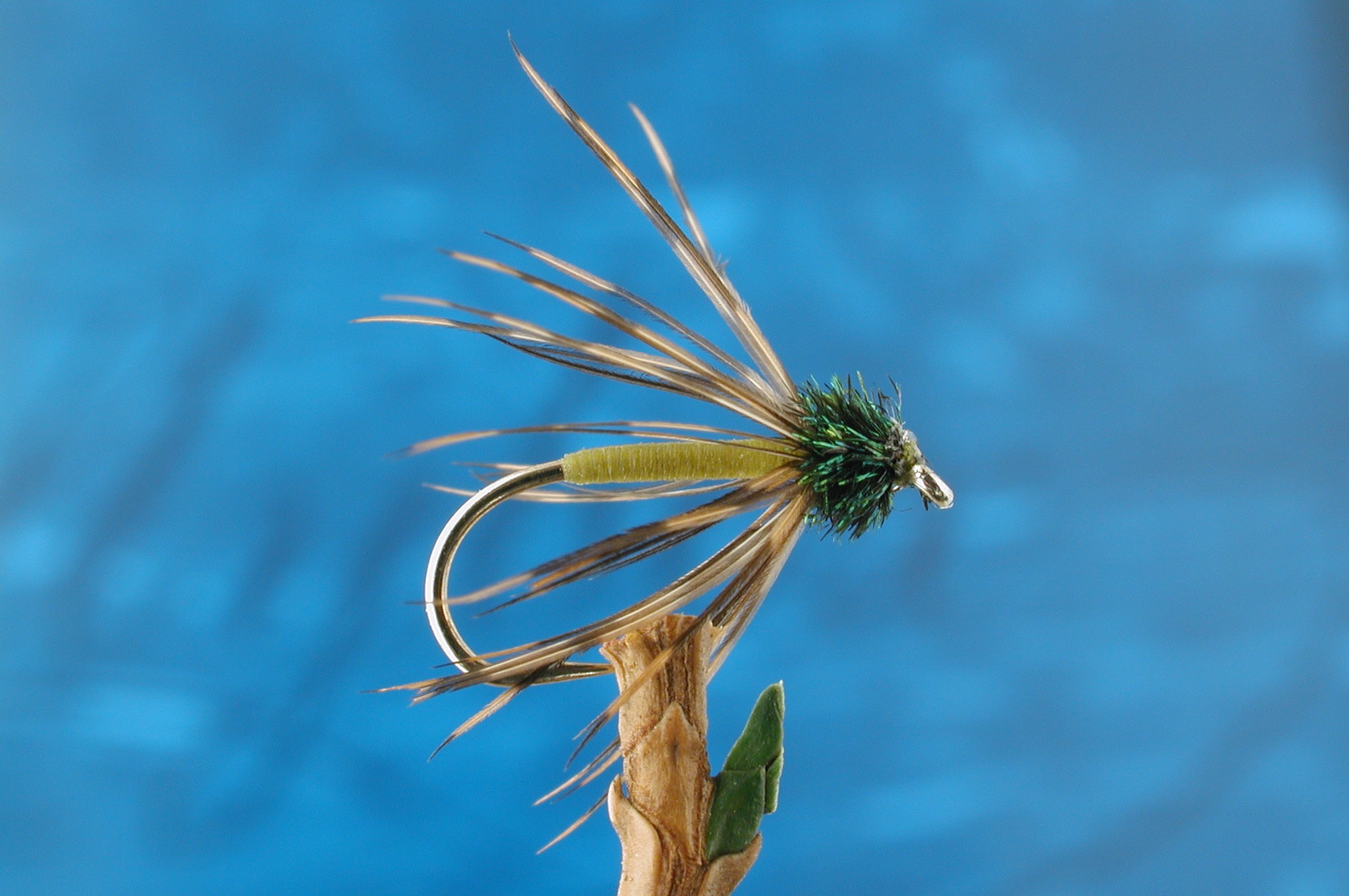 Grey Midge