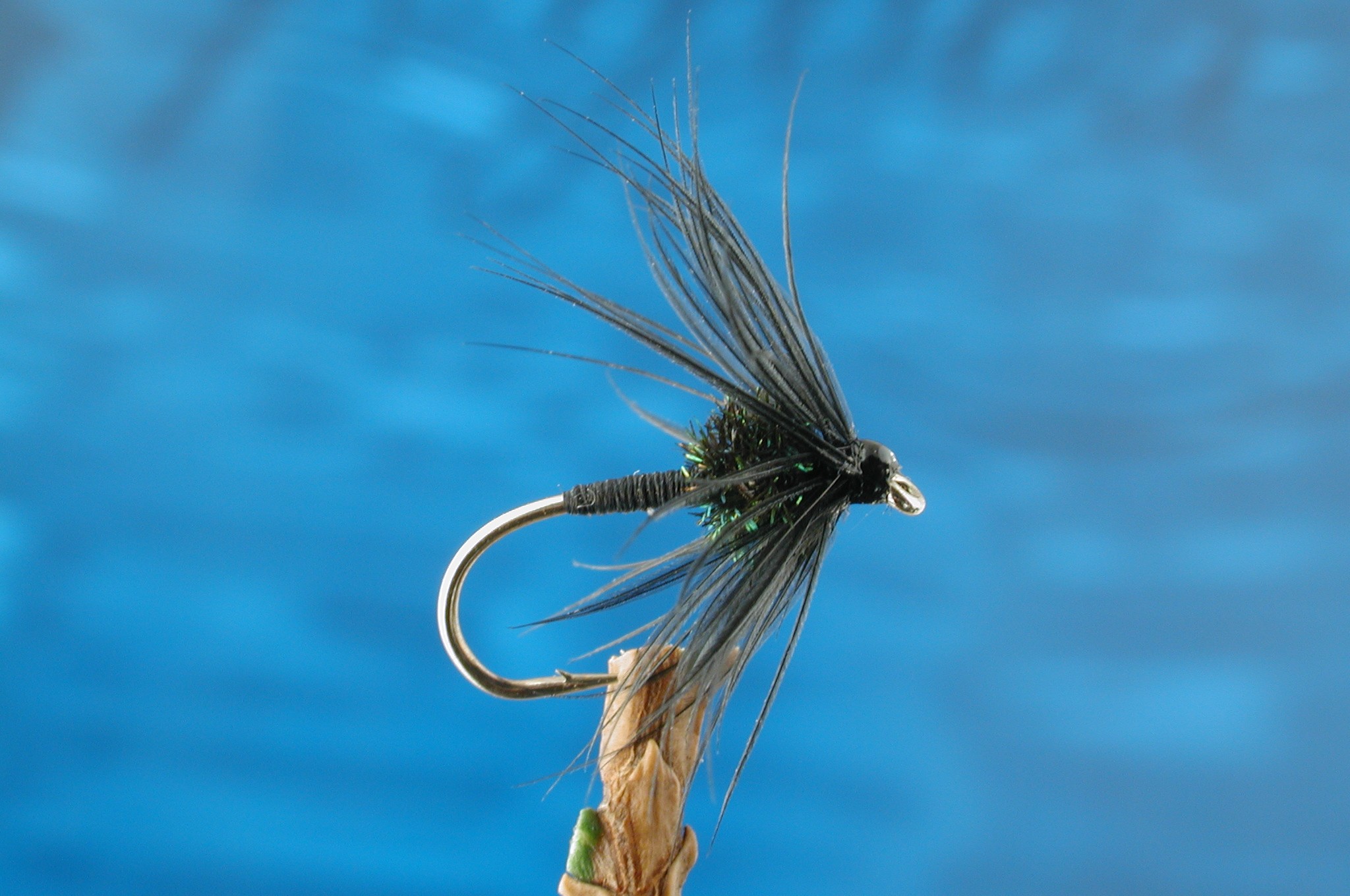 Black Magic