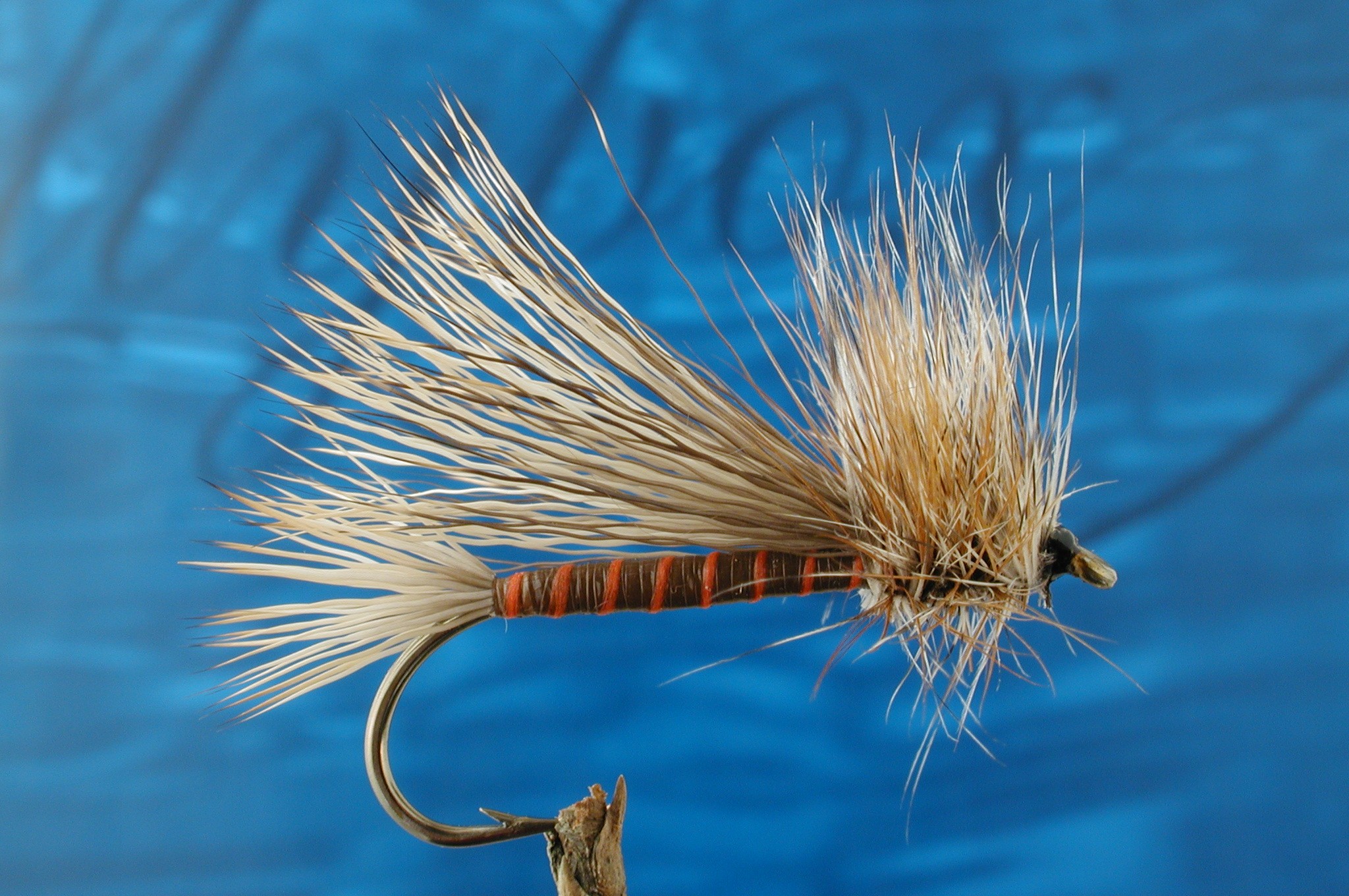 Salmon Fly
