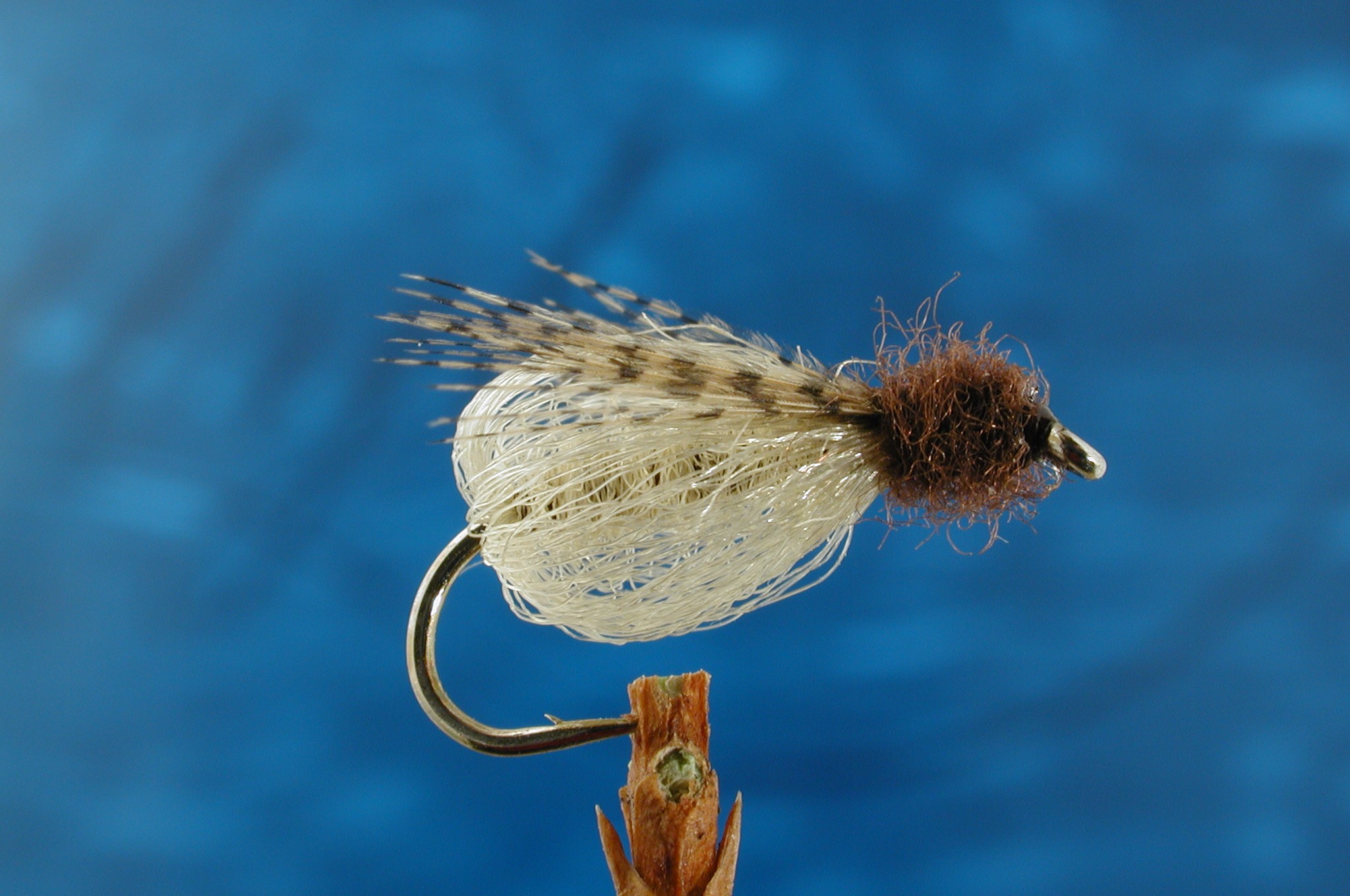 Cream Sparkle Pupa