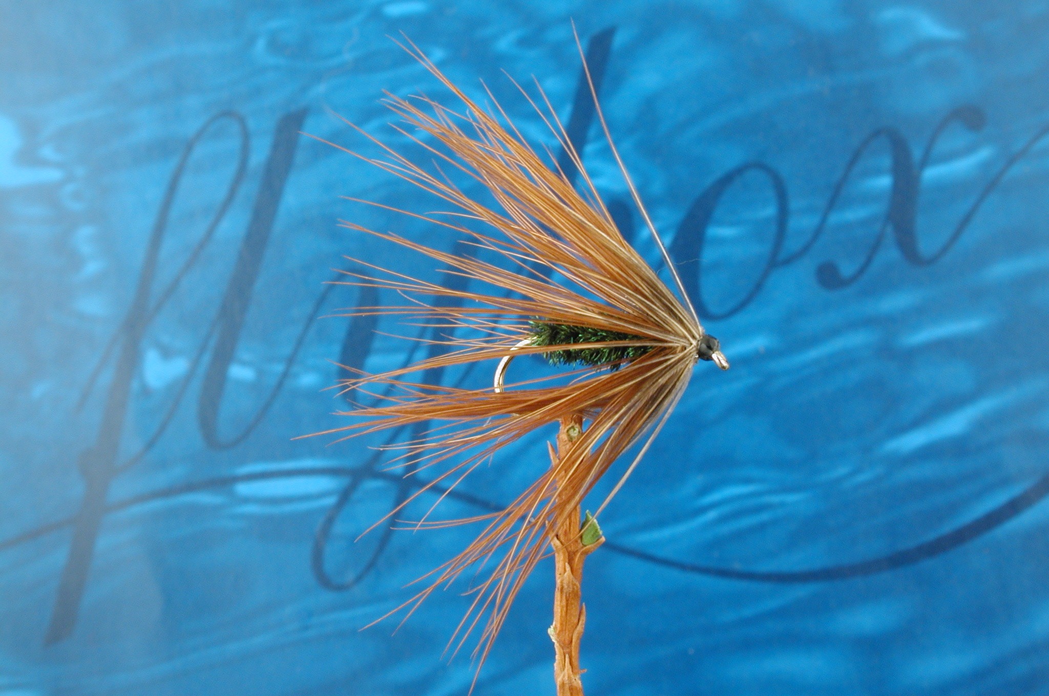 Carey Special