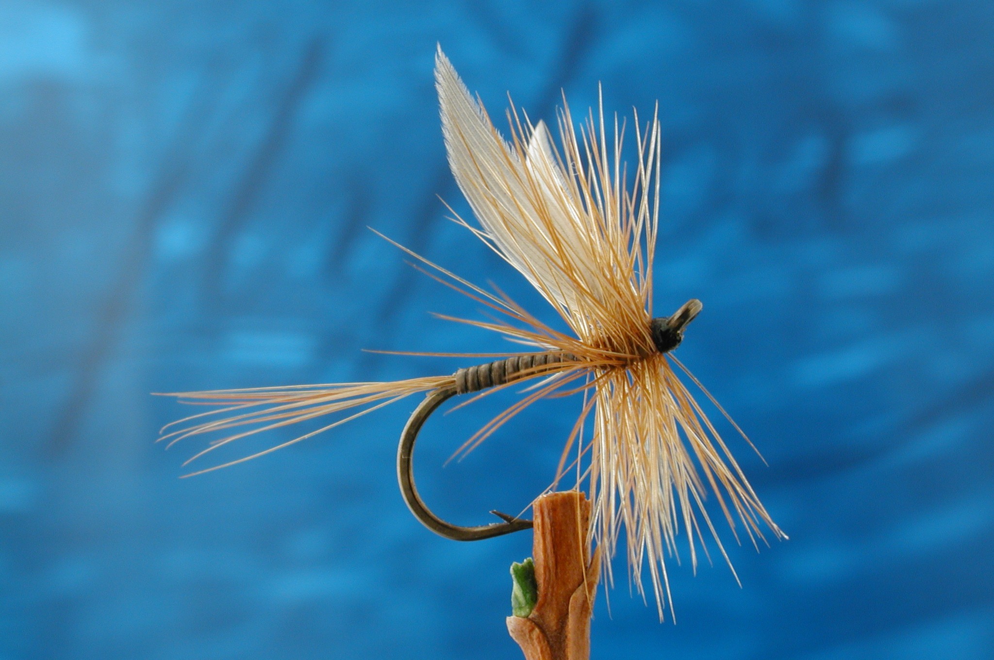 Shelvey Ginger Quill