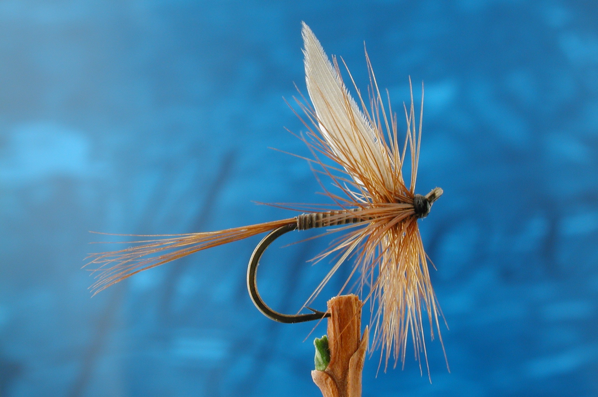 Rushworth Red Quill
