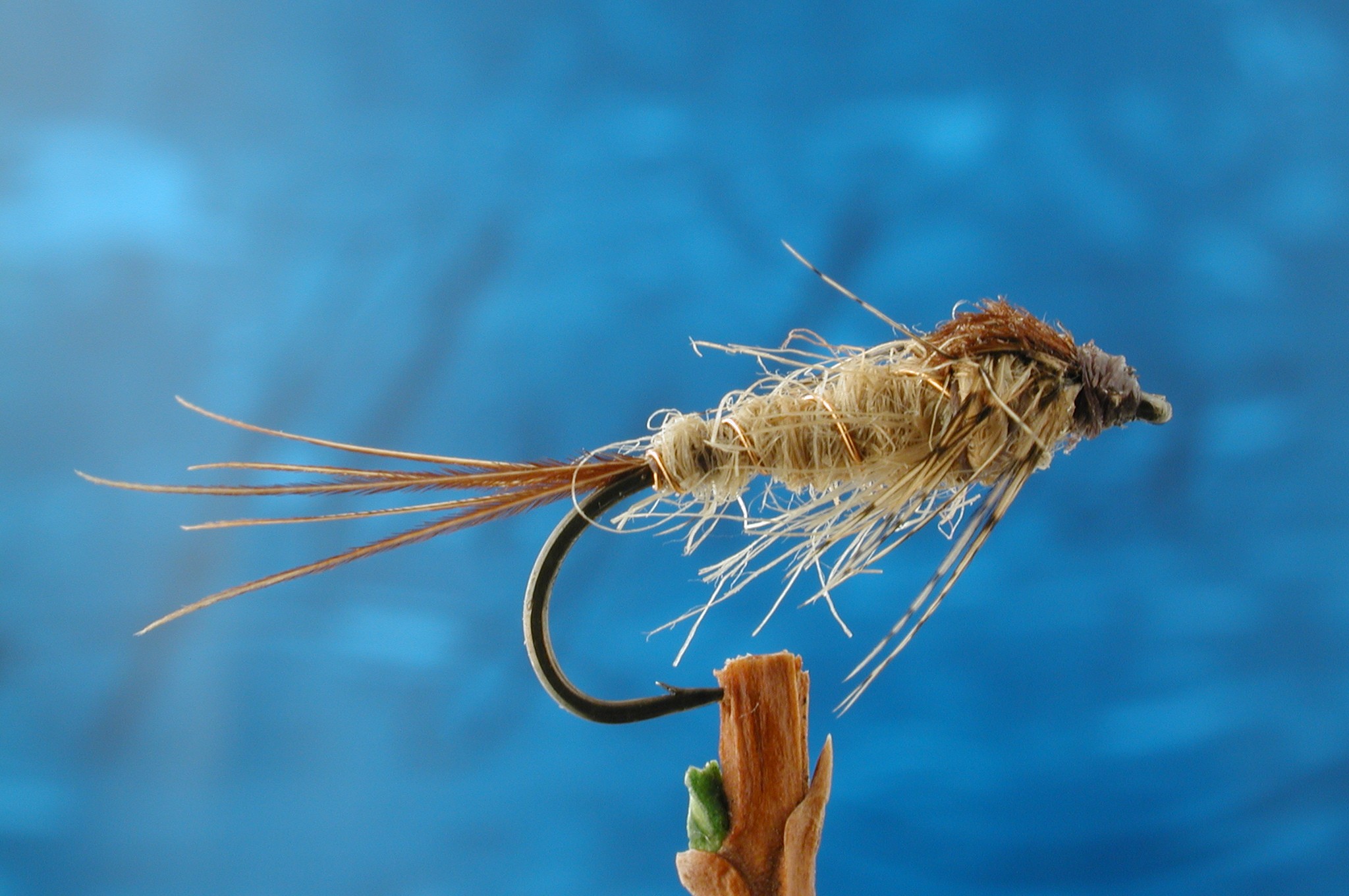 Hessian Nymph