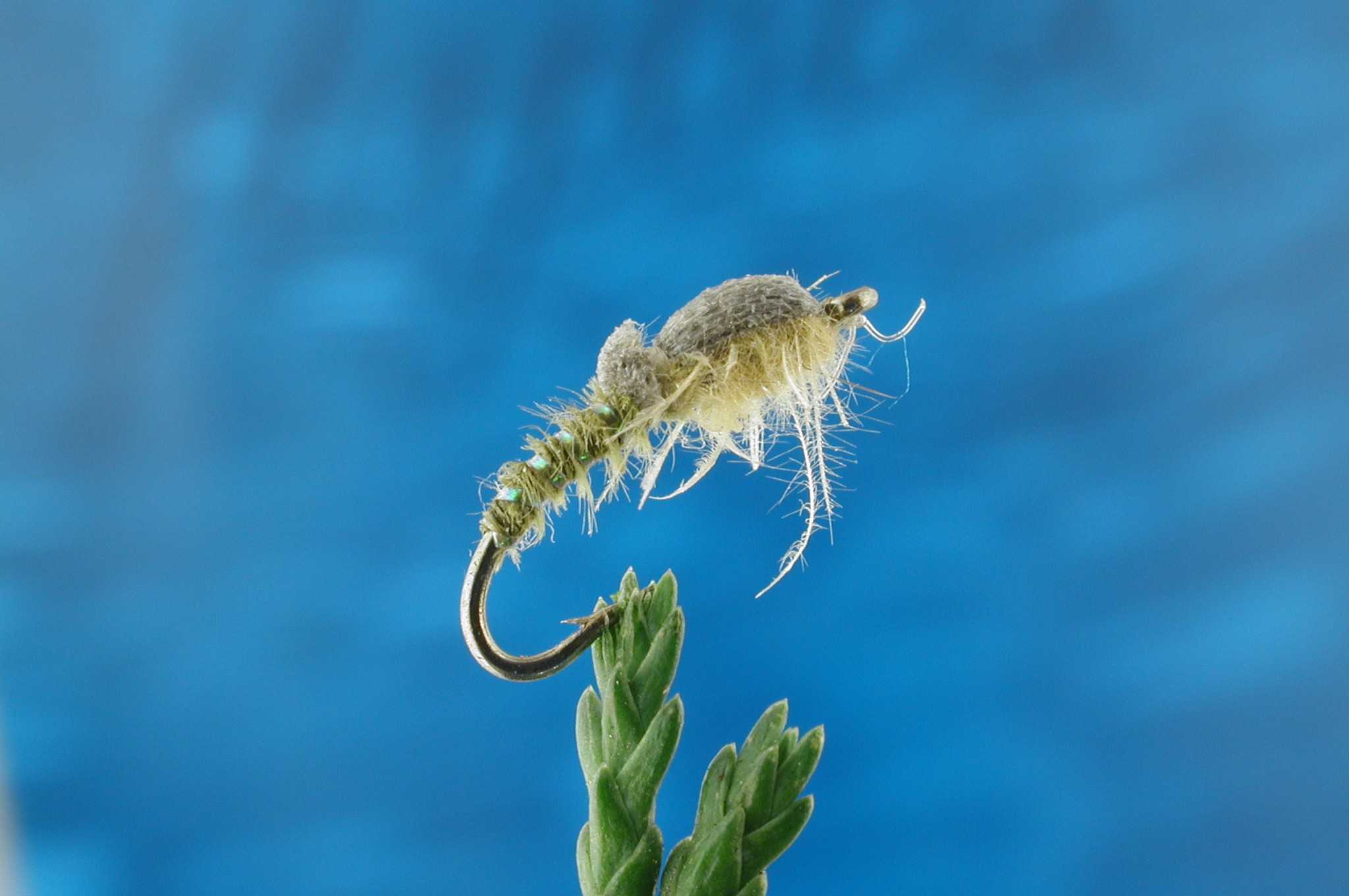Flat Water Emerger