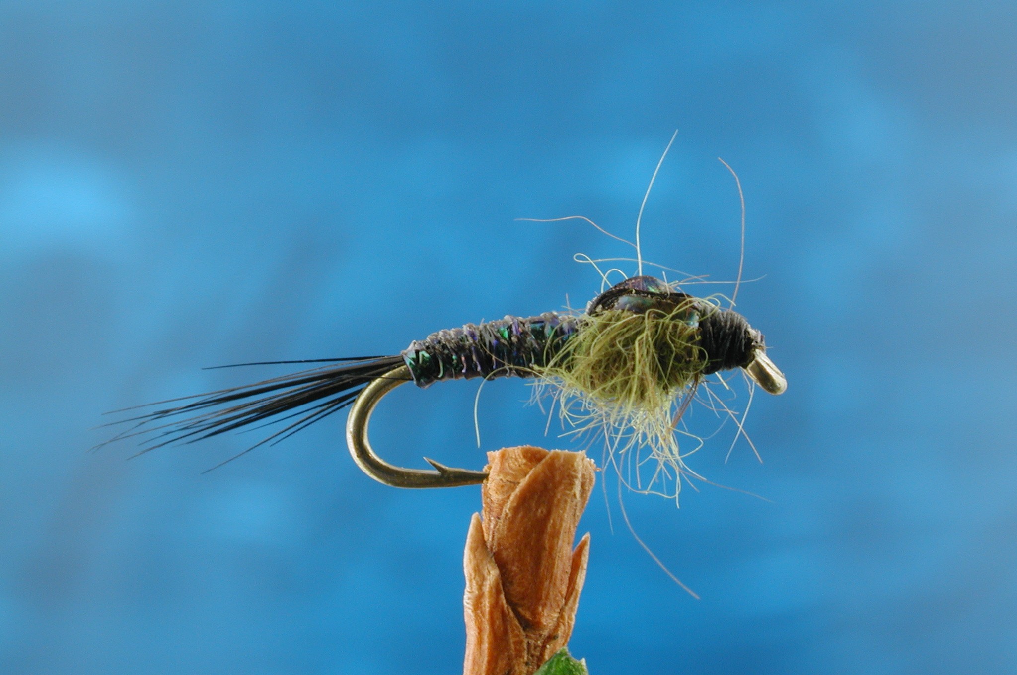 Peacock Baetis