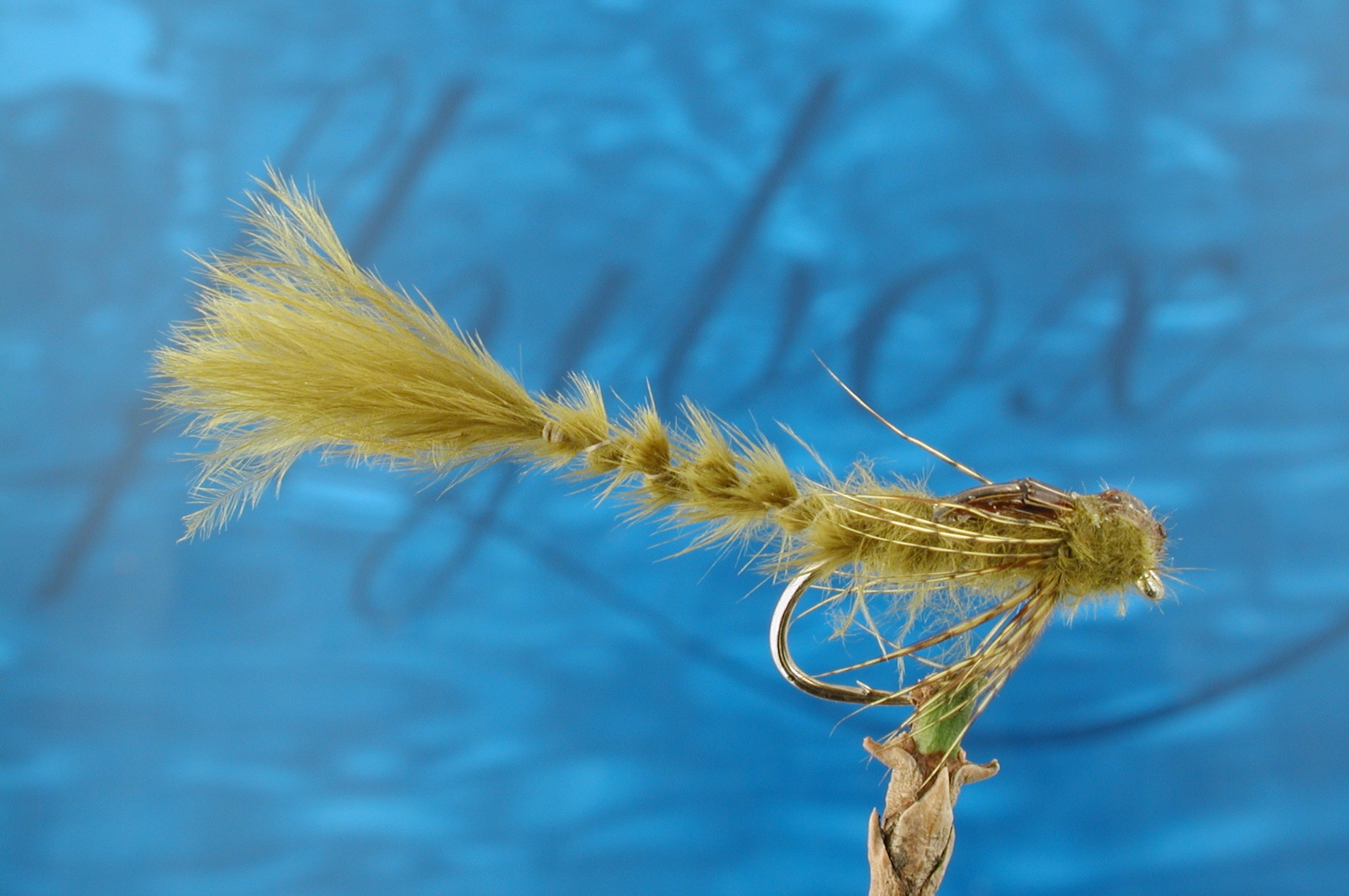 Bithells Damsel