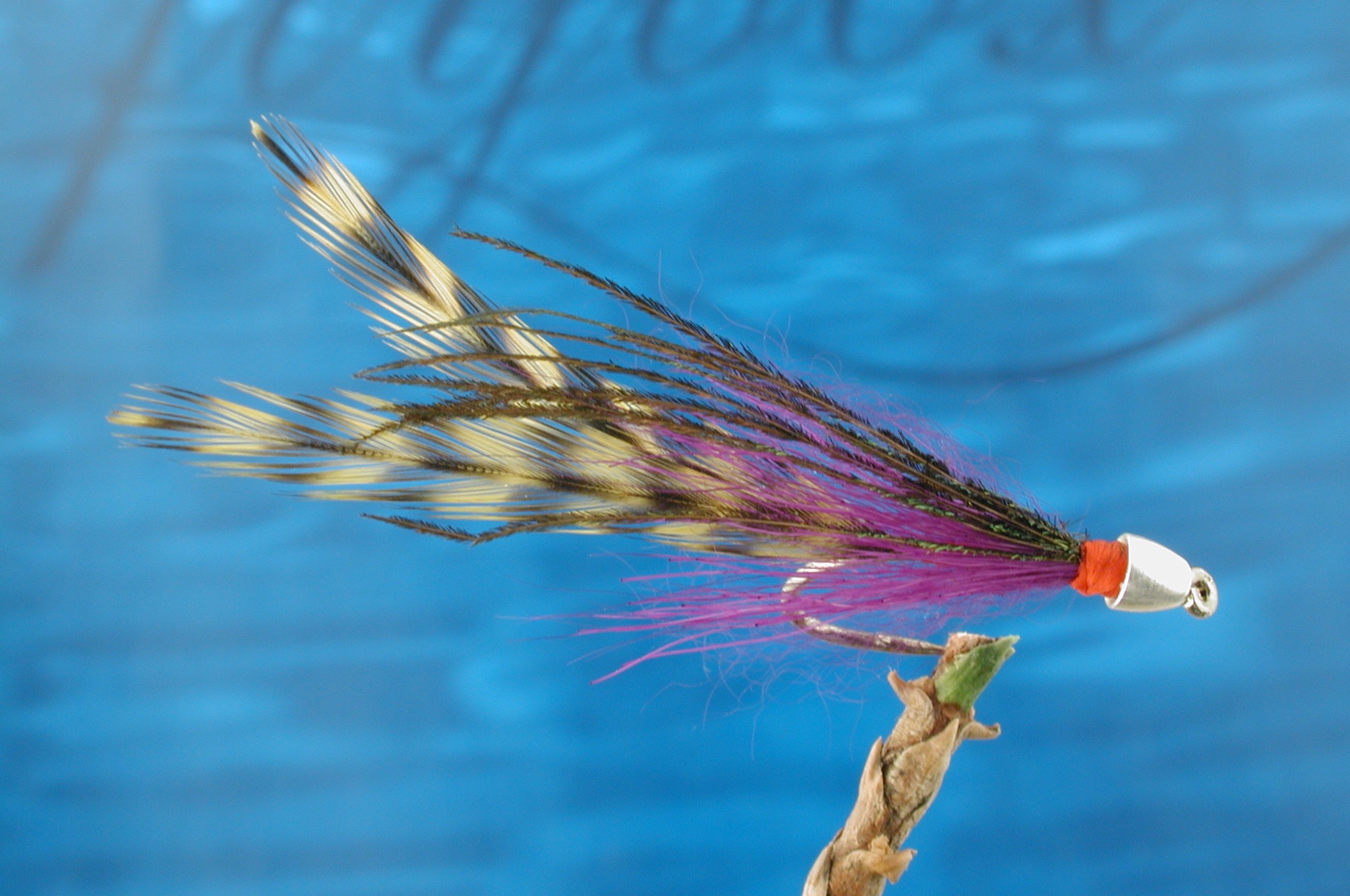 Trout Deceiver