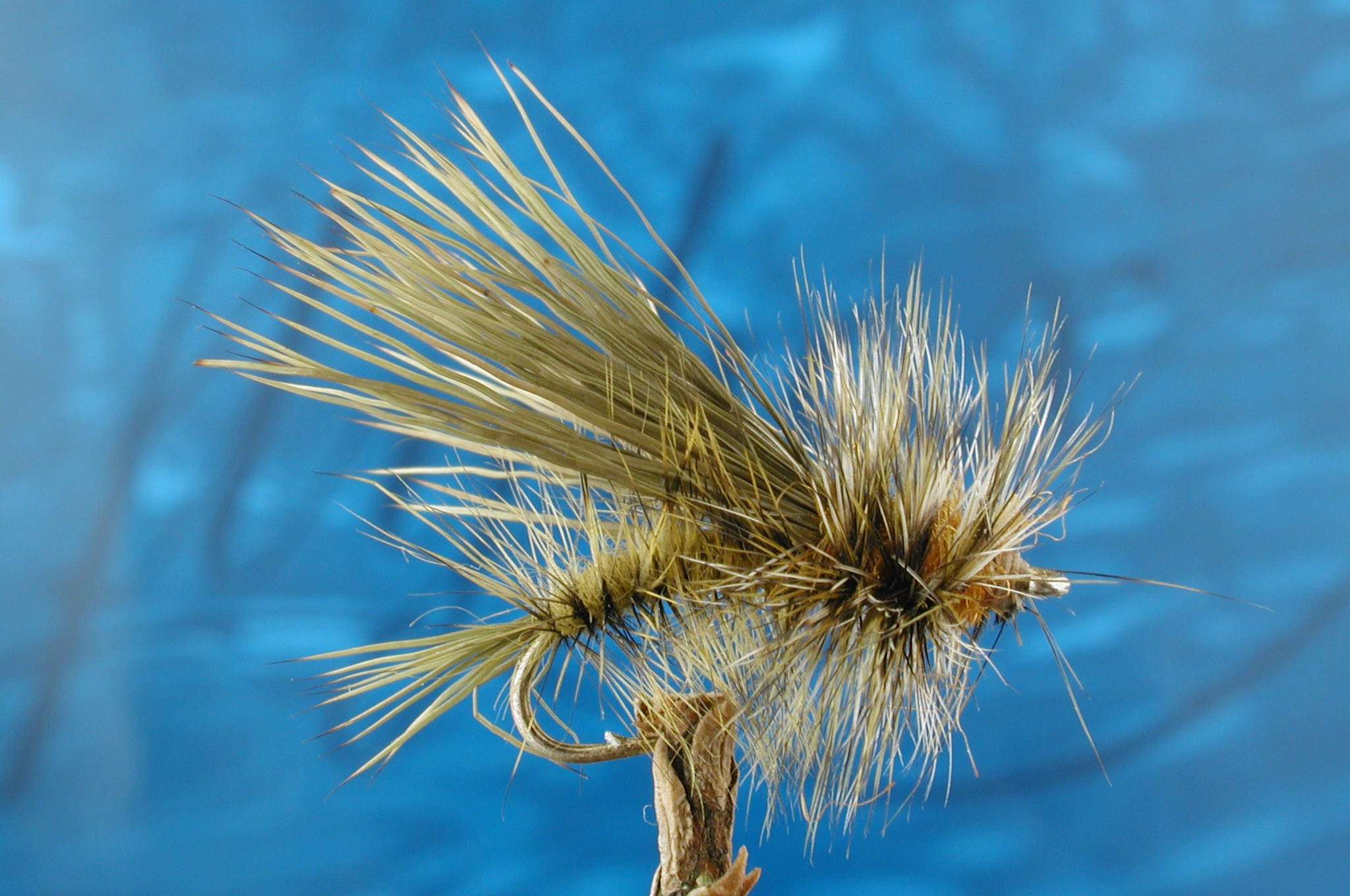 Olive Stimulator
