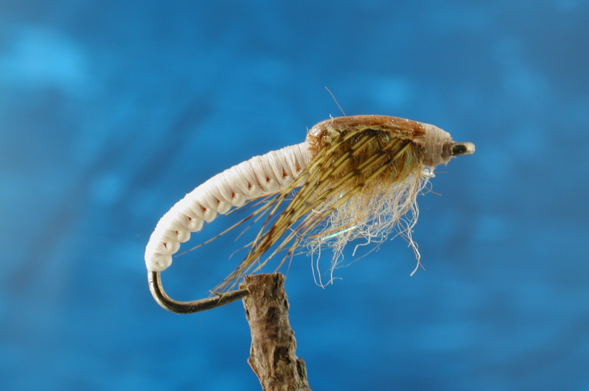 White Nymph