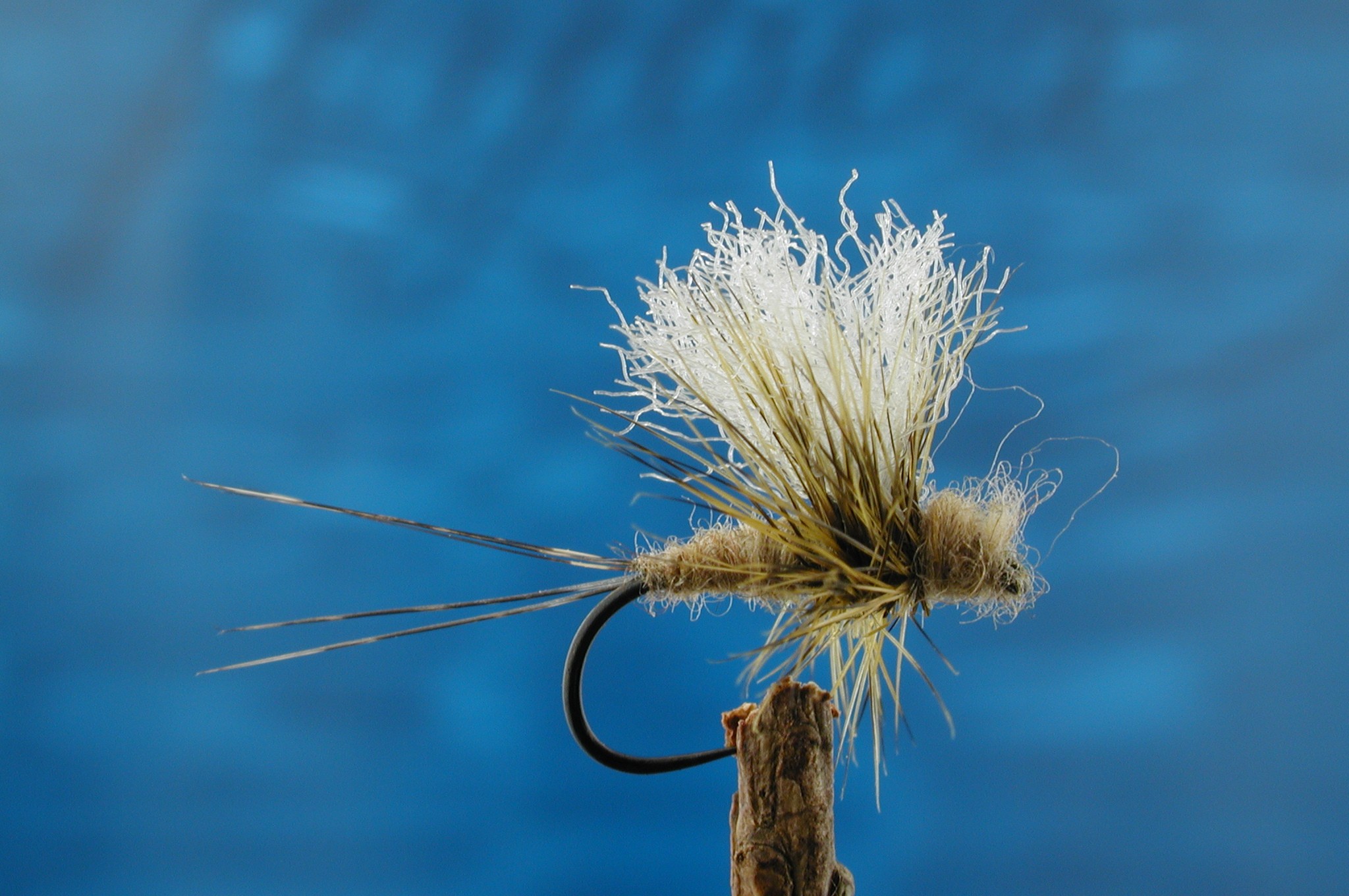 Paythorn Olive