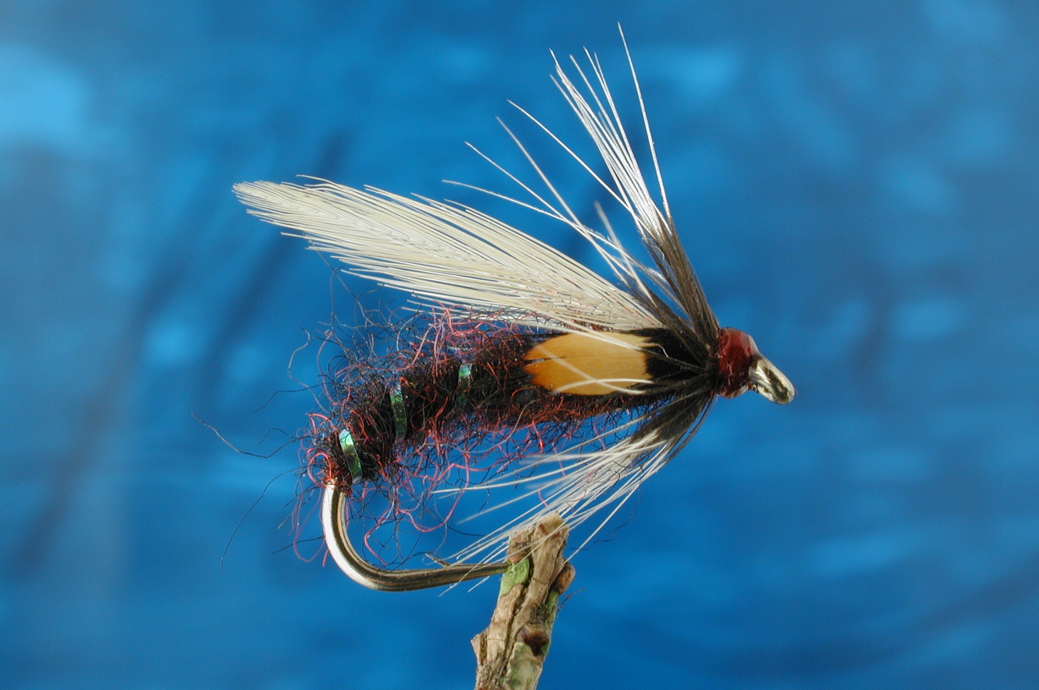 Hatching Duckfly