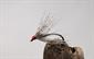 Hare's and Partridge Spider